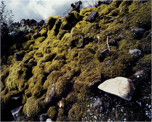 Spelunking (lava park)