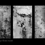 On Perseverance (Triptych of Textures)